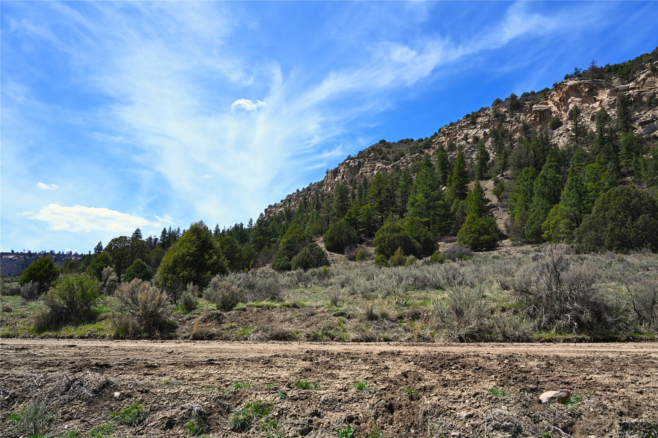 TBD Cr 352, Lumberton, New Mexico image 43