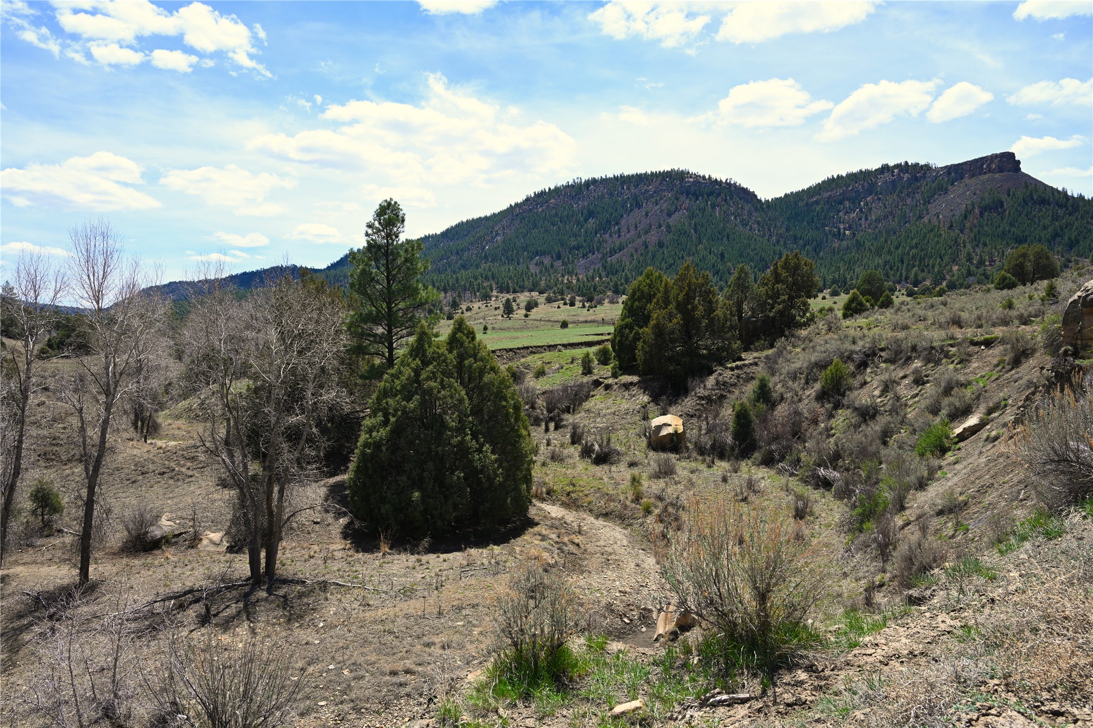 TBD Cr 352, Lumberton, New Mexico image 14