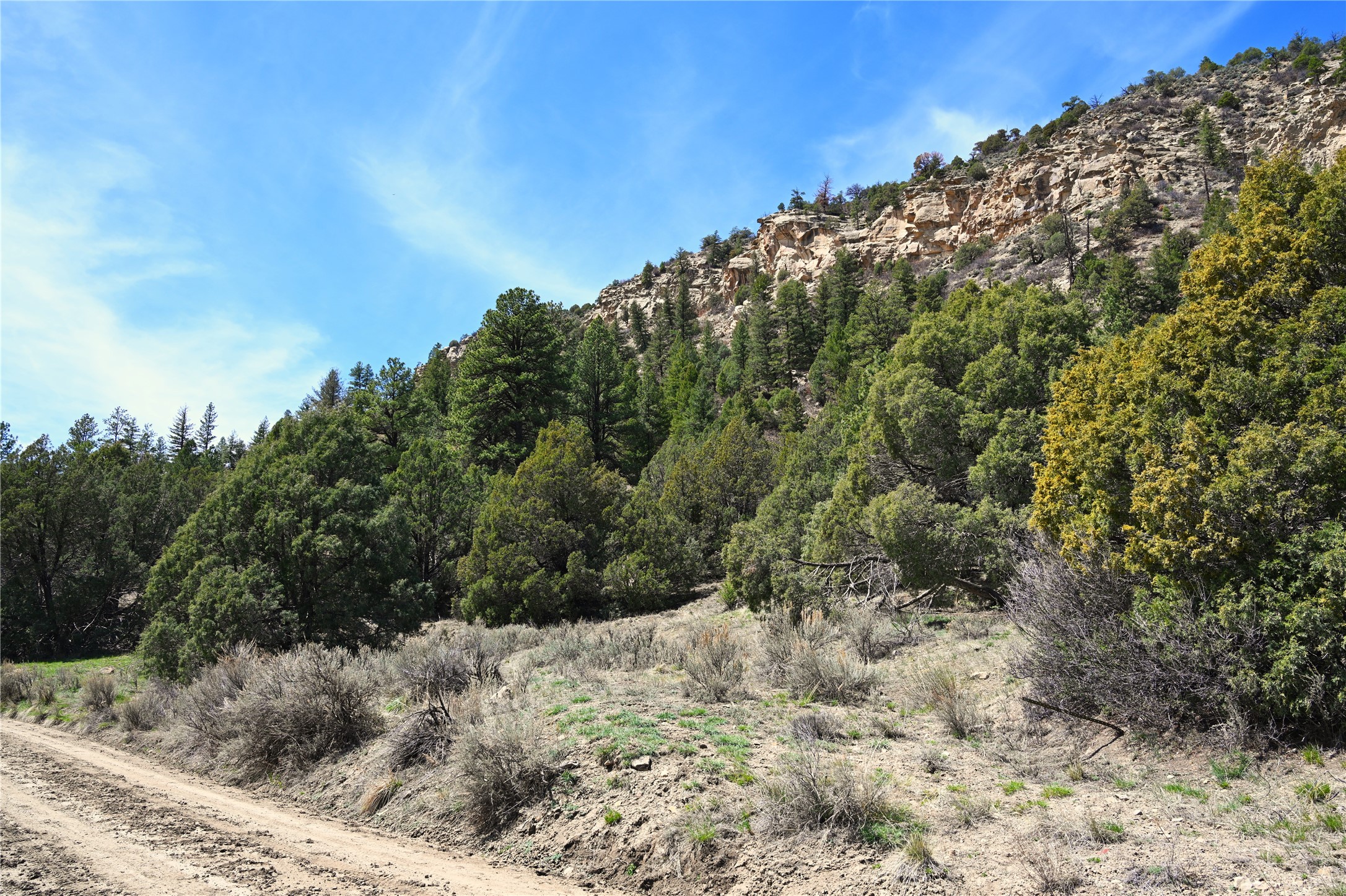 TBD Cr 352, Lumberton, New Mexico image 15