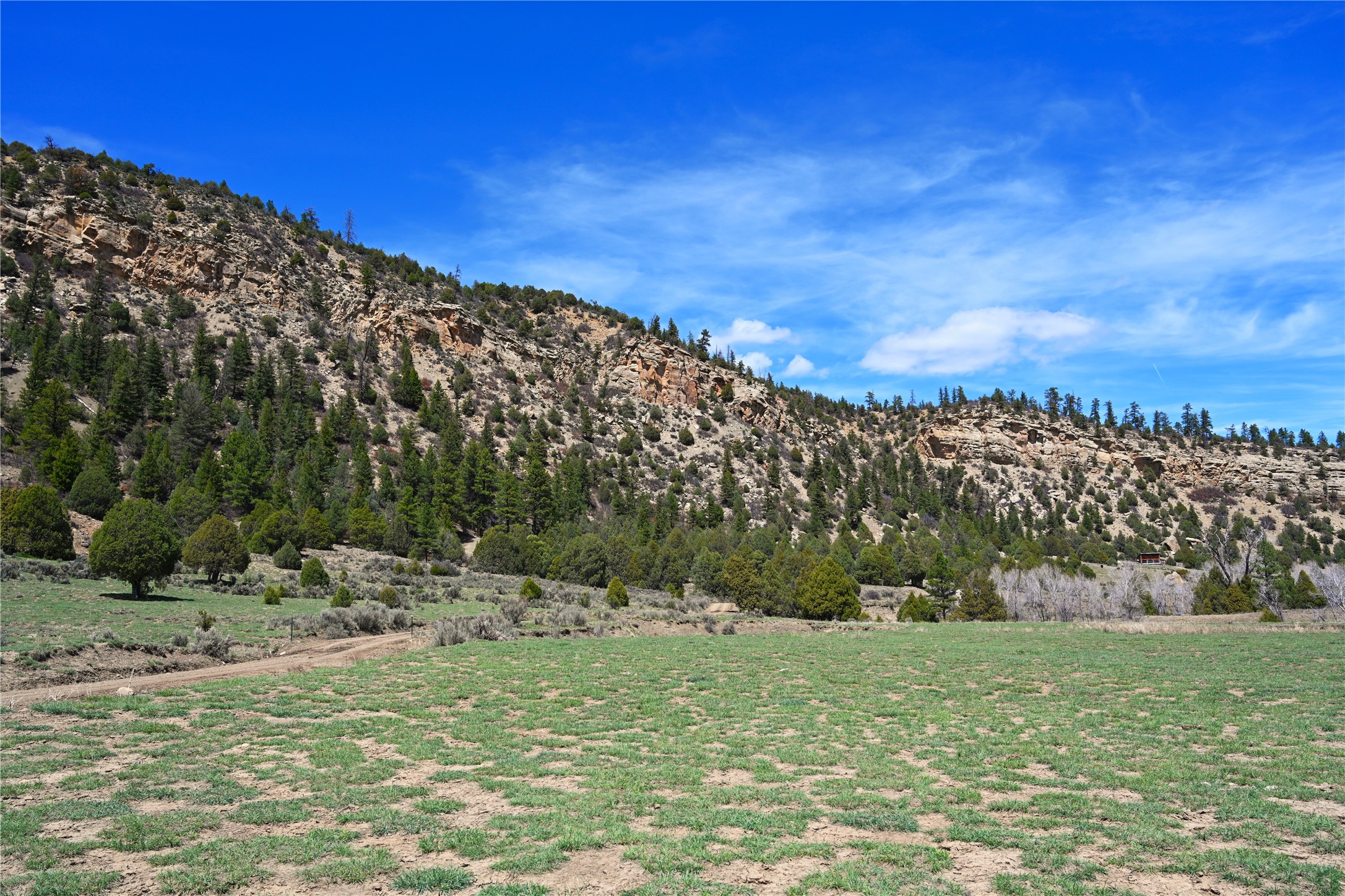 TBD Cr 352, Lumberton, New Mexico image 19