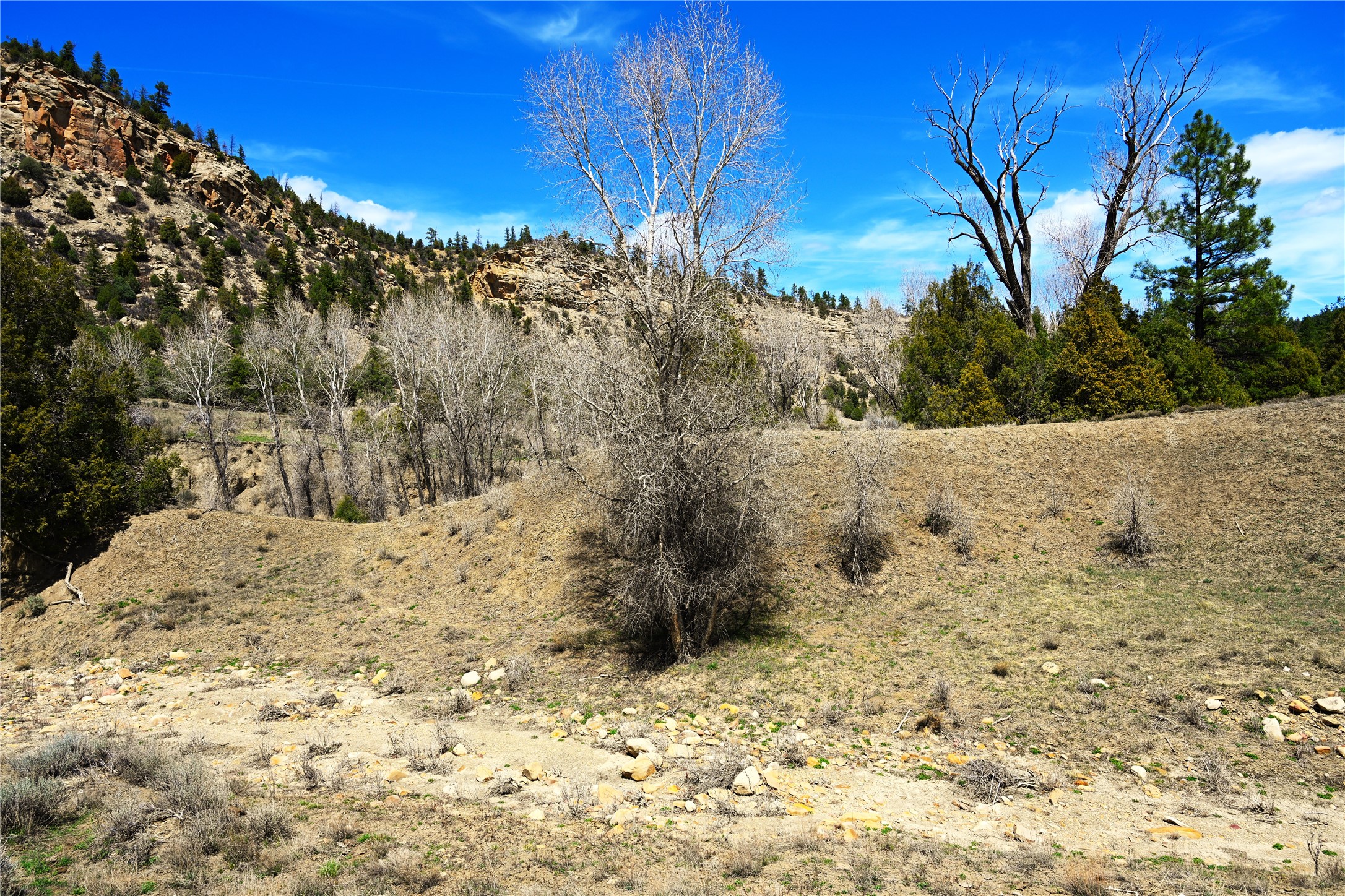 TBD Cr 352, Lumberton, New Mexico image 49