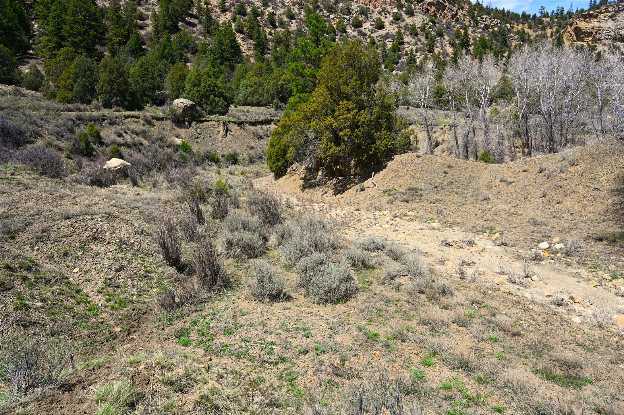 TBD Cr 352, Lumberton, New Mexico image 48
