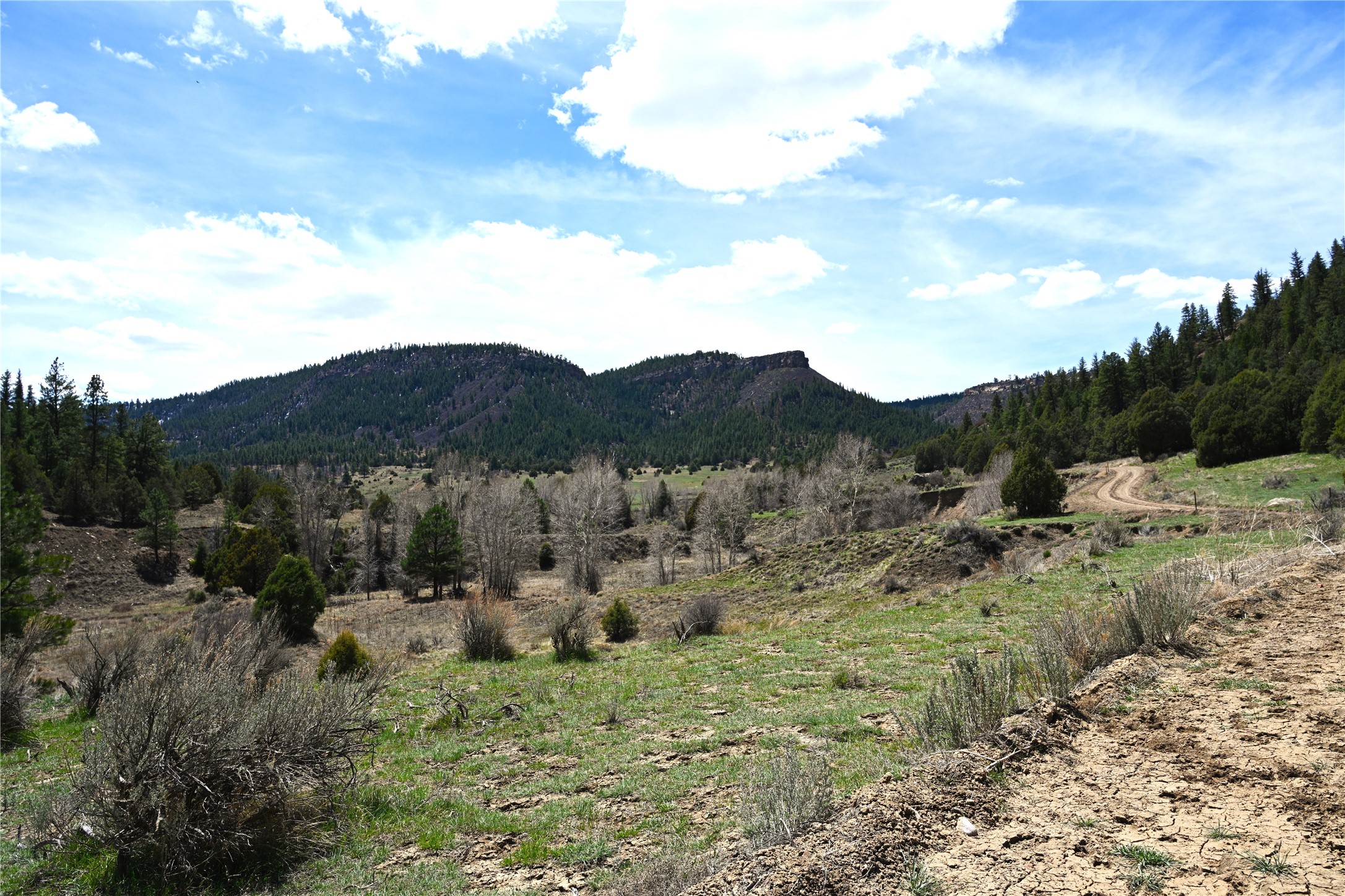 TBD Cr 352, Lumberton, New Mexico image 2