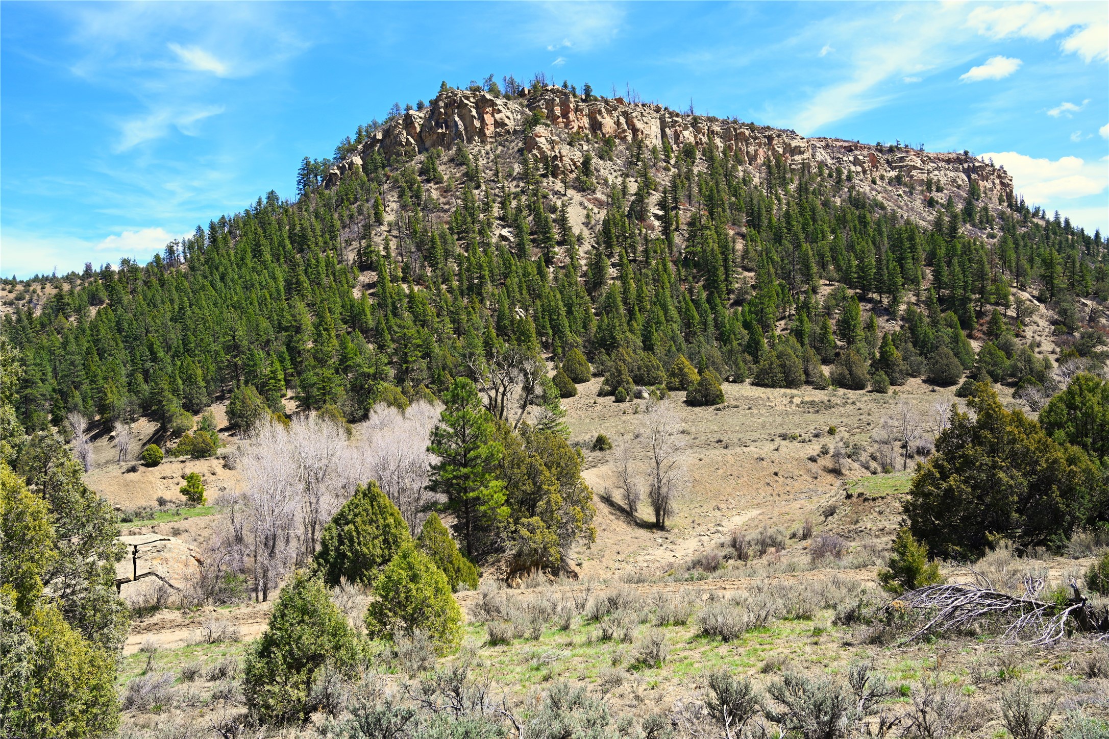 TBD Cr 352, Lumberton, New Mexico image 40