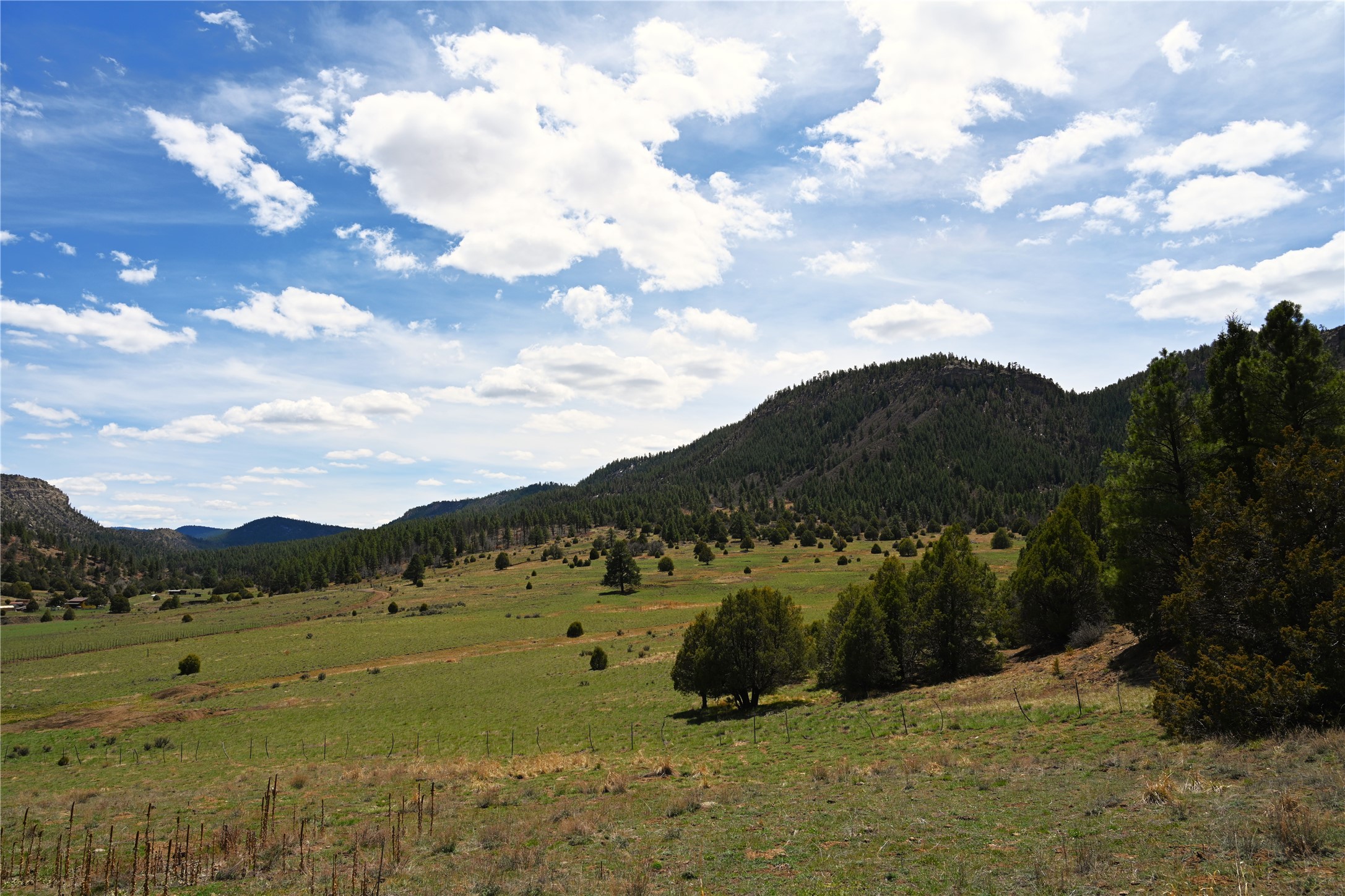 TBD Cr 352, Lumberton, New Mexico image 20