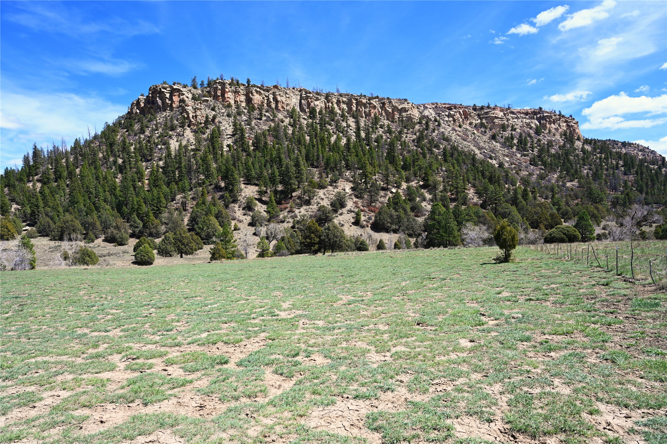 TBD Cr 352, Lumberton, New Mexico image 16