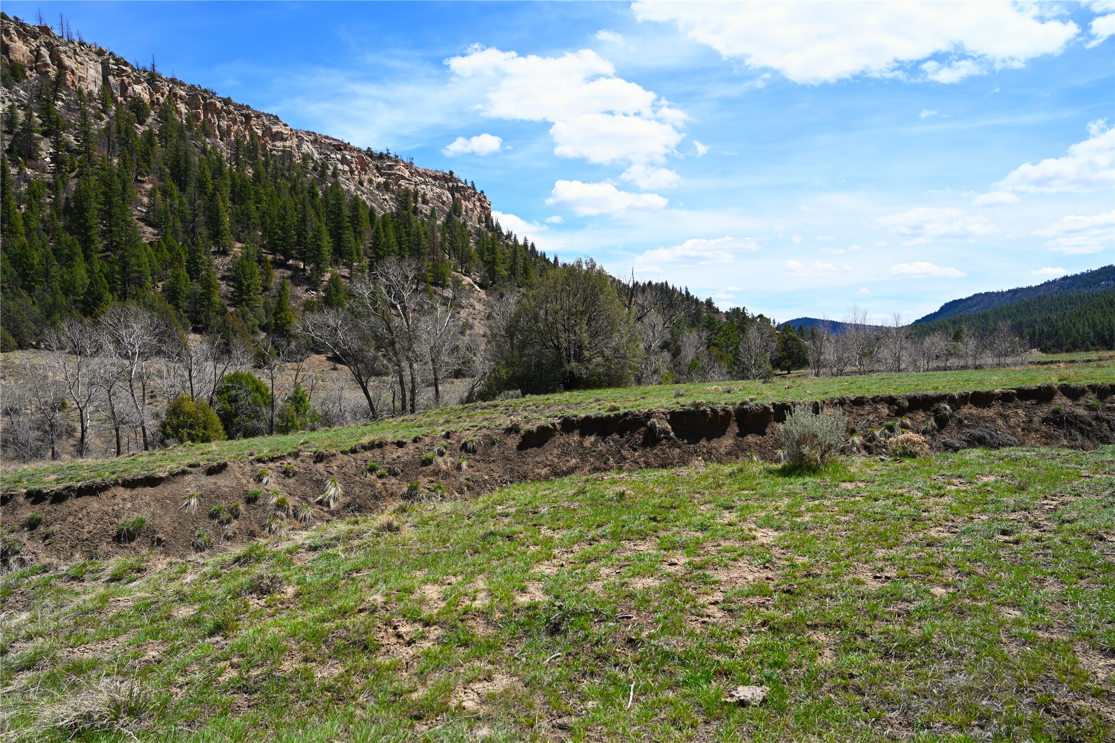 TBD Cr 352, Lumberton, New Mexico image 45