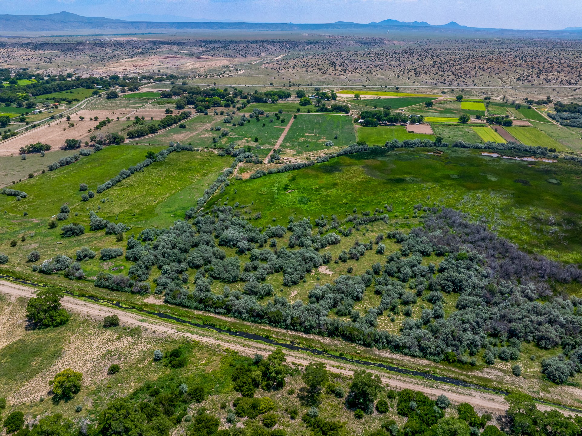 009 Sparkling Moolah, Pena Blanca, New Mexico image 16