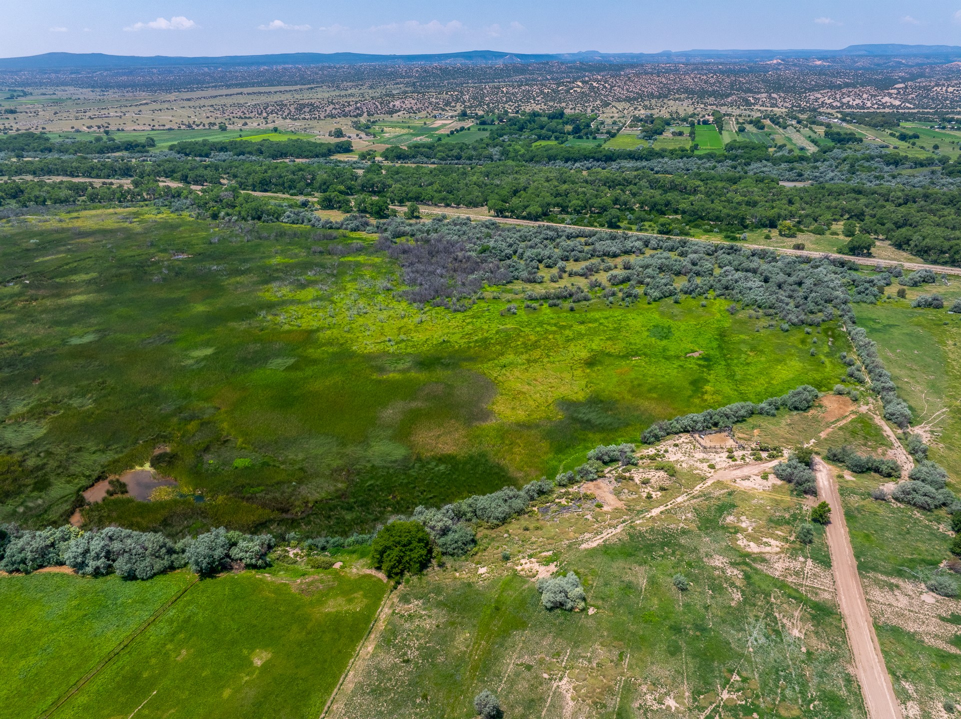 009 Sparkling Moolah, Pena Blanca, New Mexico image 9