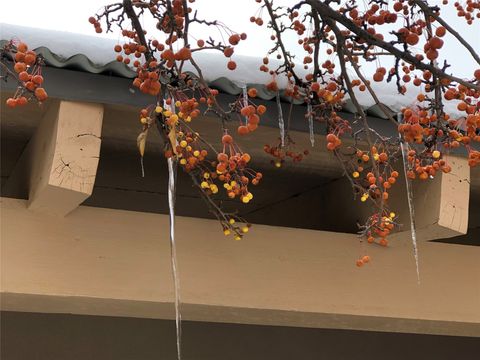 Tiny photo for 32 Two Horse Trail, Santa Fe, NM 87508 (MLS # 202600782)