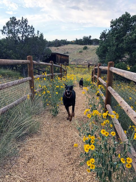 Tiny photo for 32 Two Horse Trail, Santa Fe, NM 87508 (MLS # 202600782)