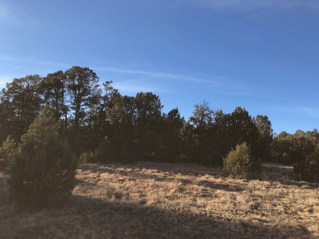 5 Acres Cr A20, Las Vegas, New Mexico image 7
