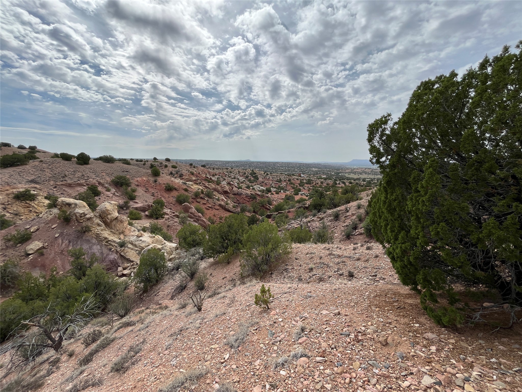 76 Wolf Road, Santa Fe, New Mexico image 3
