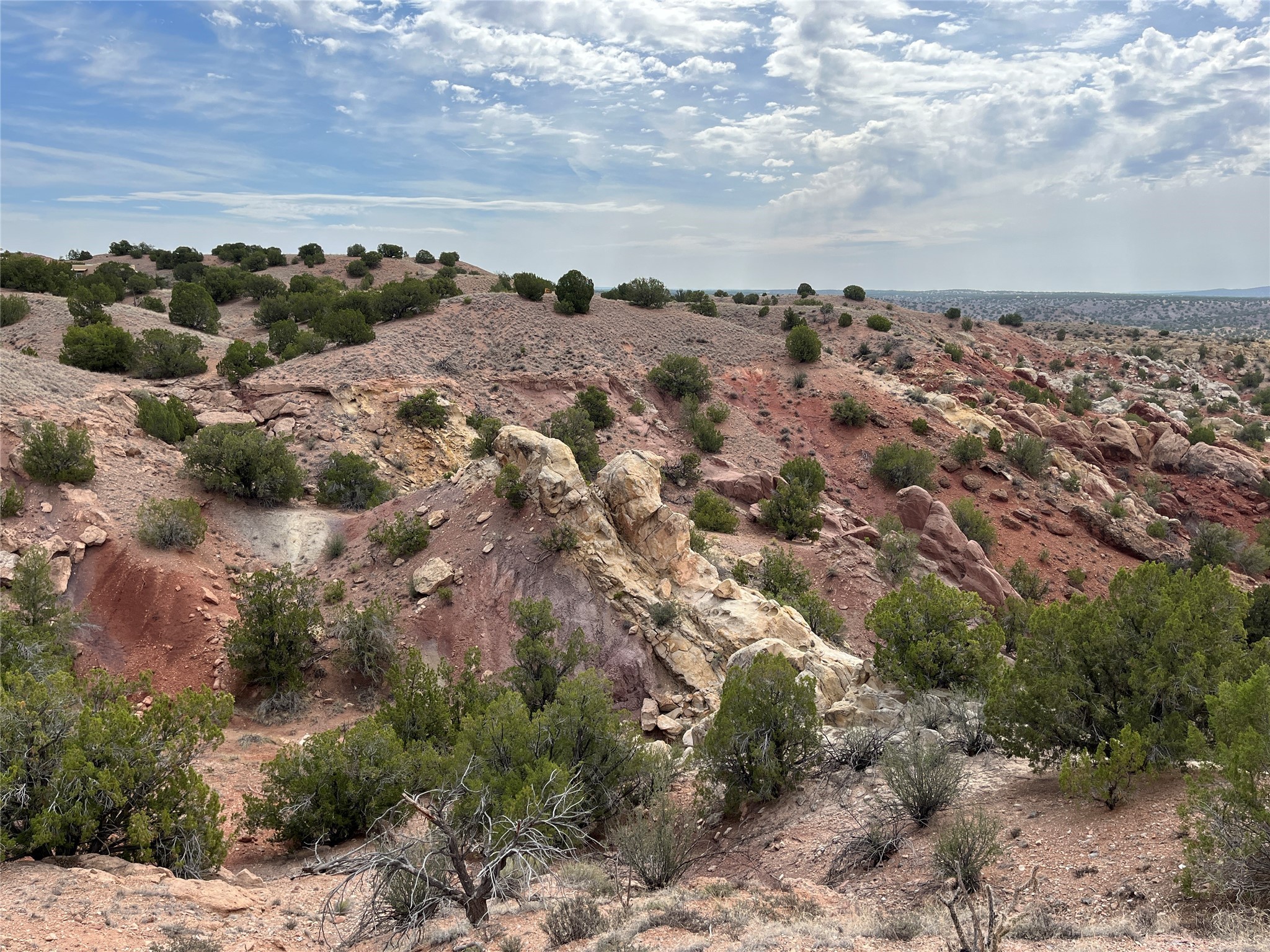 76 Wolf Road, Santa Fe, New Mexico image 5
