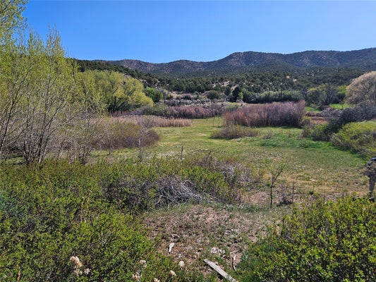 STATE HWY 503, CHIMAYO, NM 87522 - Image 1802a4bfdb14c638e4f4bcd2d80fbac1/2965666489
