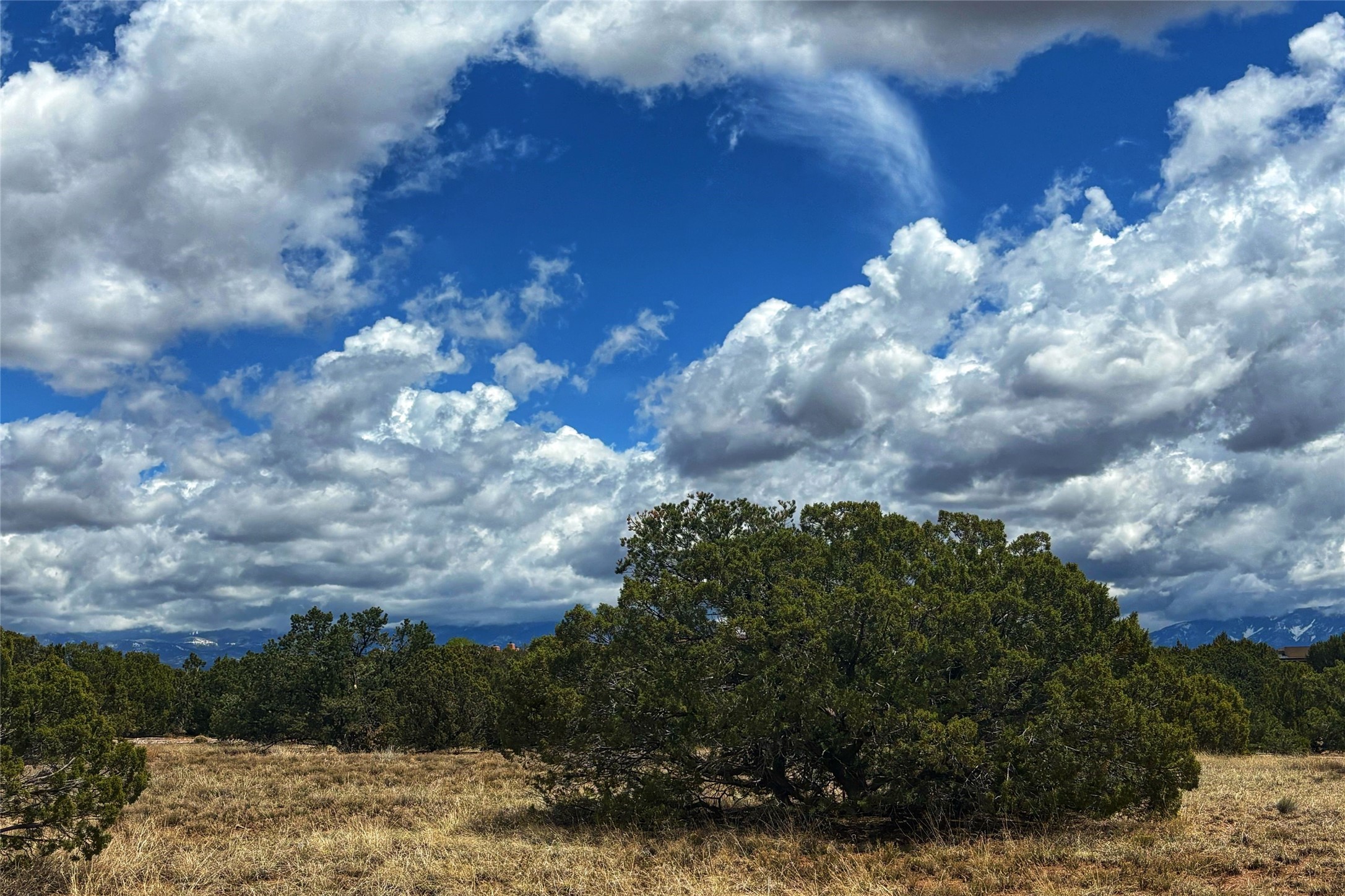 27 Koshari, Santa Fe, New Mexico image 6