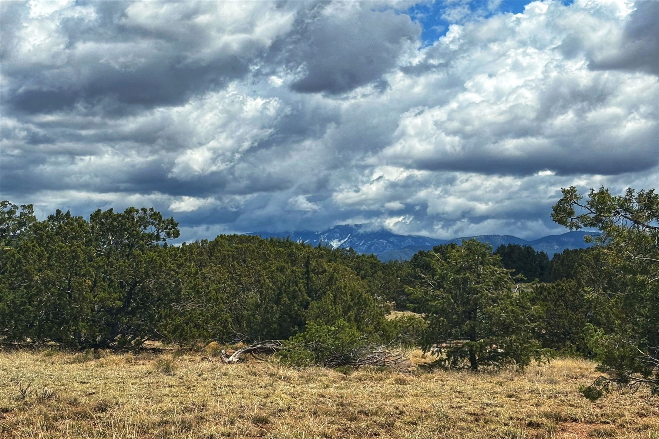 27 Koshari, Santa Fe, New Mexico image 5