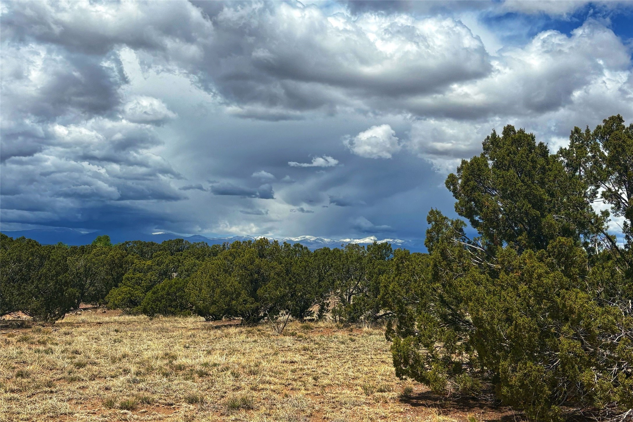 27 Koshari, Santa Fe, New Mexico image 8
