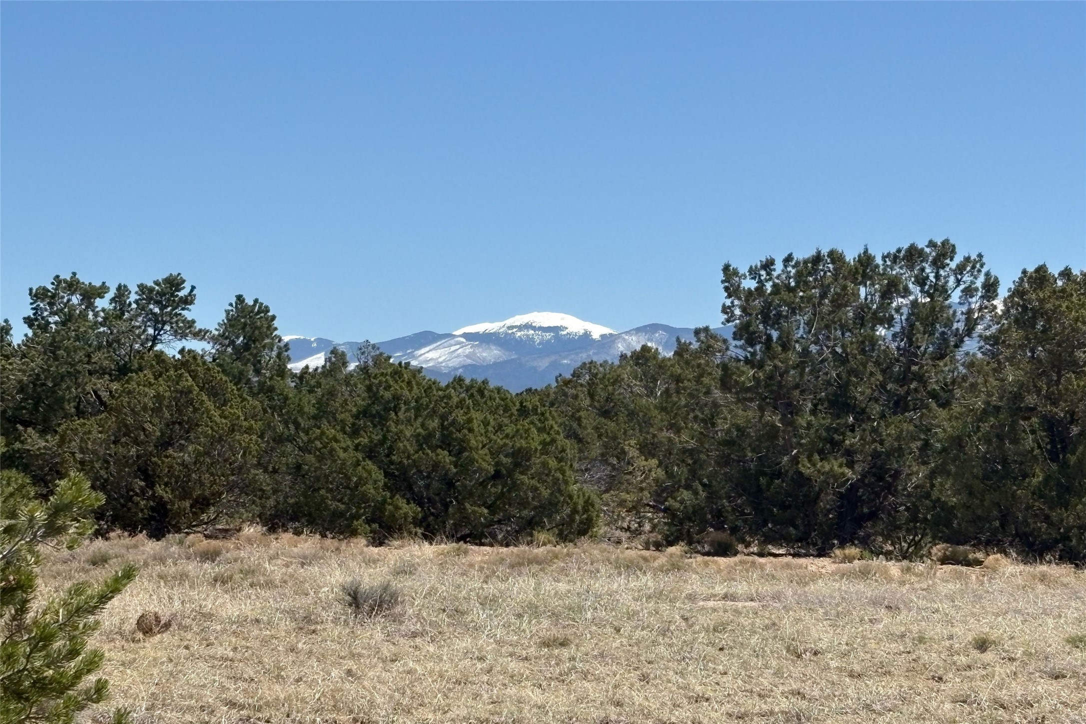 27 Koshari, Santa Fe, New Mexico image 11