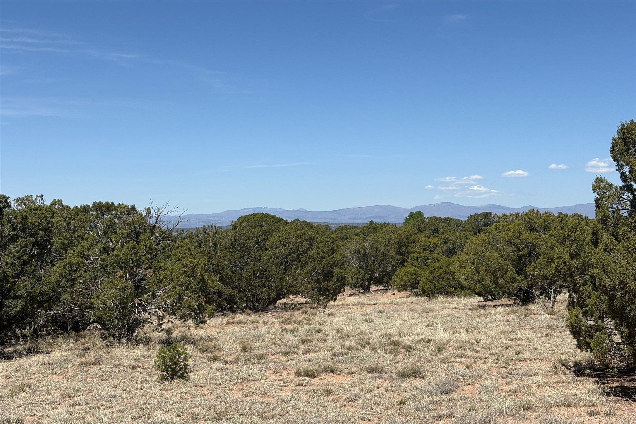 27 Koshari, Santa Fe, New Mexico image 14