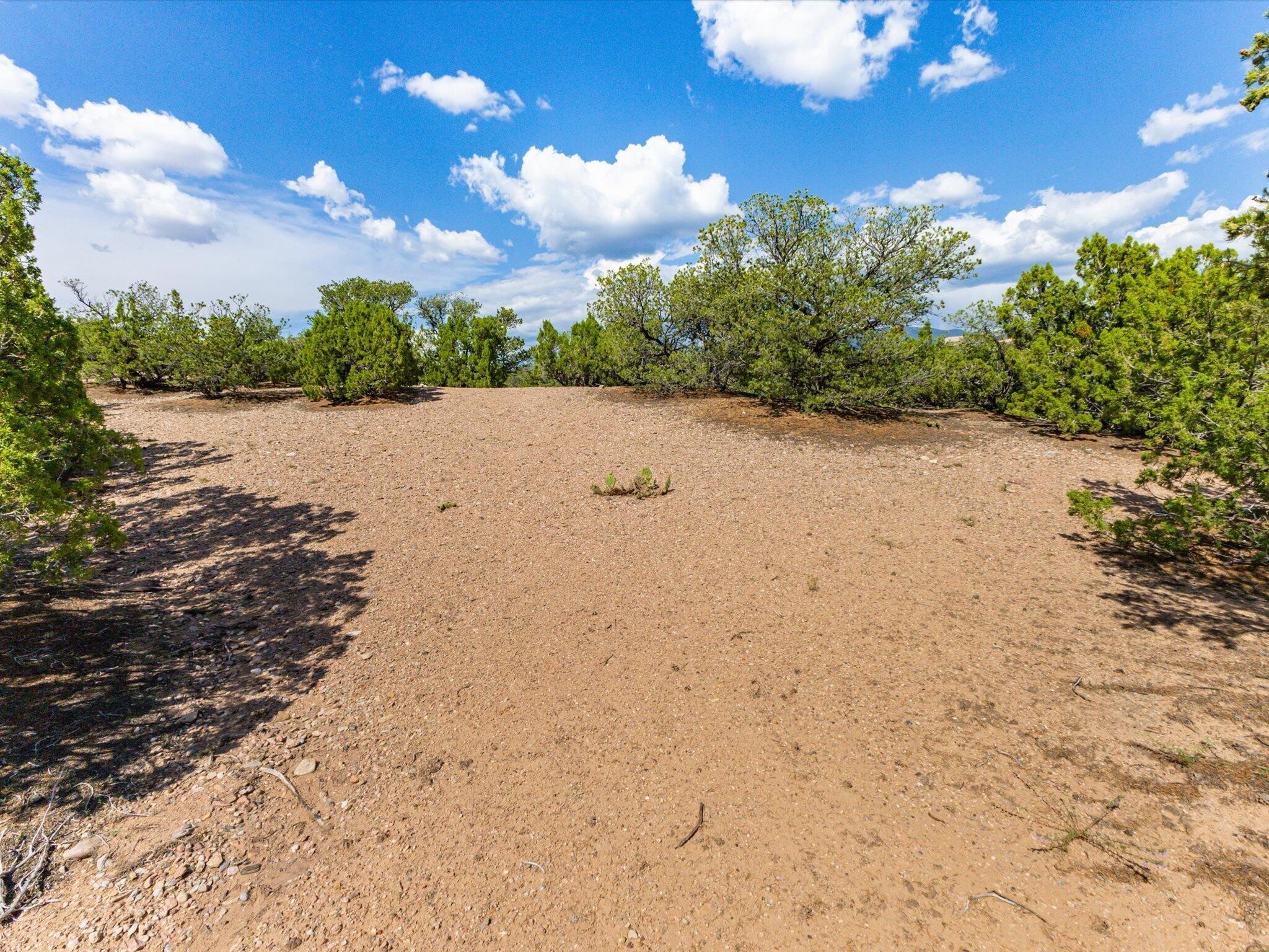 309 Los Arboles, Santa Fe, New Mexico image 8