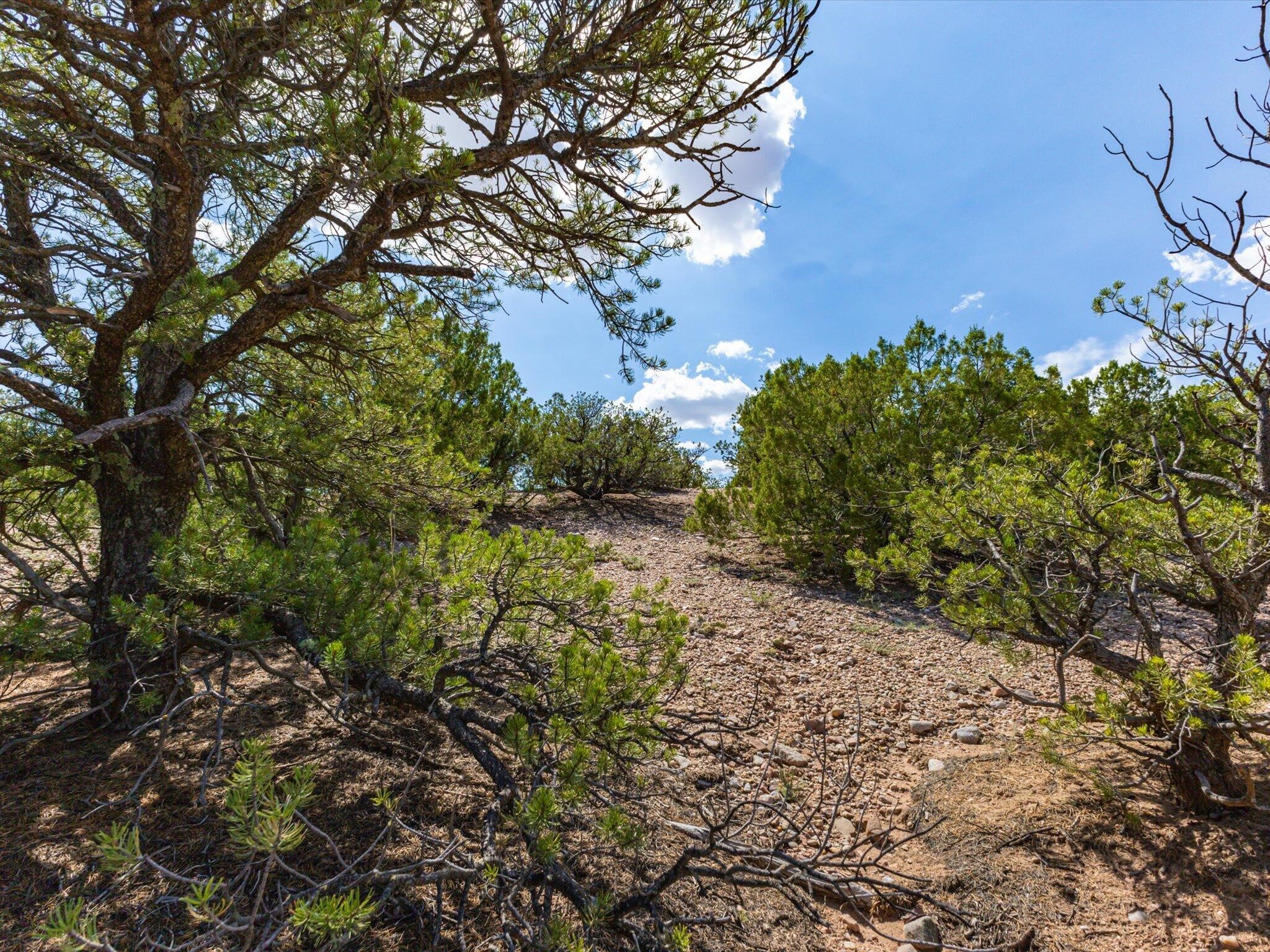 309 Los Arboles, Santa Fe, New Mexico image 9