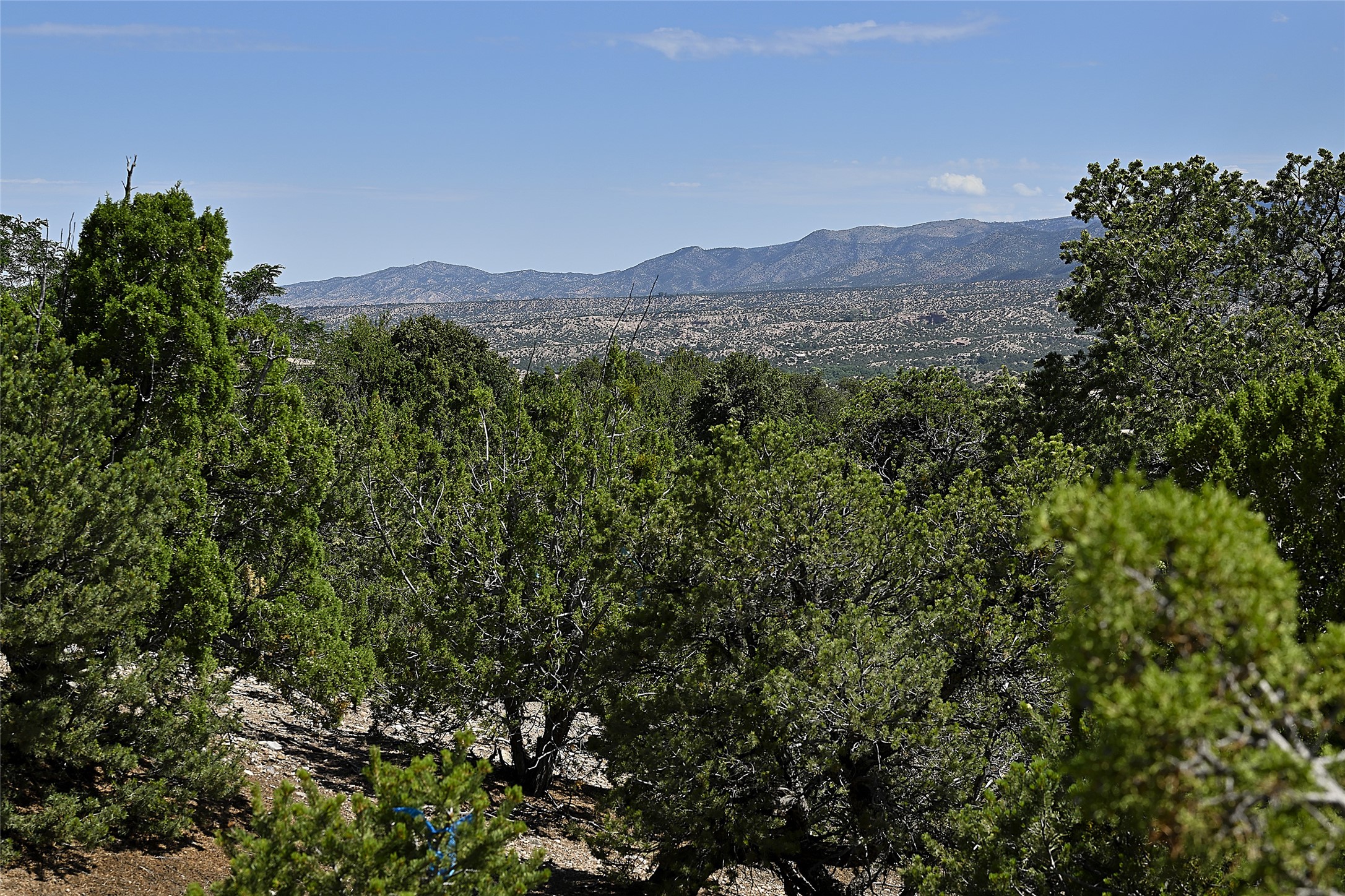 1164 S Summit Drive, Lot 15 Dr, Santa Fe, New Mexico image 7