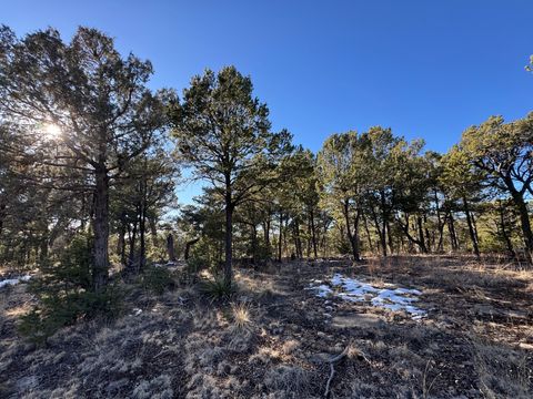 Vacant Land For Sale - 7 Dancing Hawk Drive<br/> Pecos, NM 87552