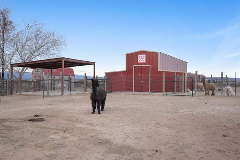 Tiny photo for 25 Arroyita Rd, Algodones, NM 87001 (MLS # 202600873)