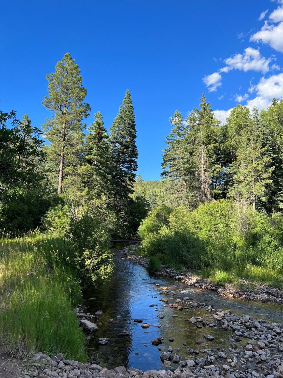 0 Badger Park 4 Ticonderoga, Chama, New Mexico image 16