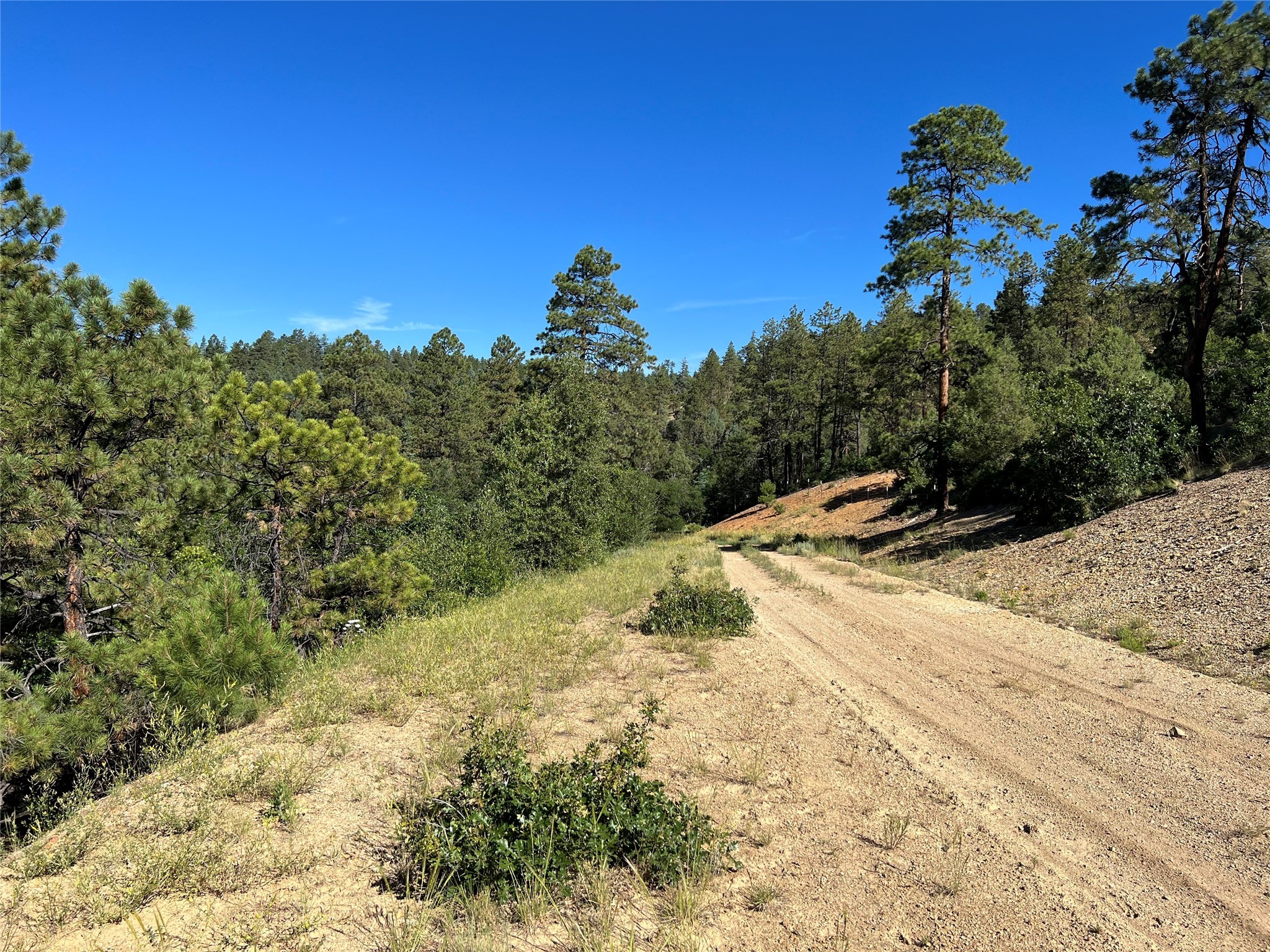 0 Badger Park 4 Ticonderoga, Chama, New Mexico image 13