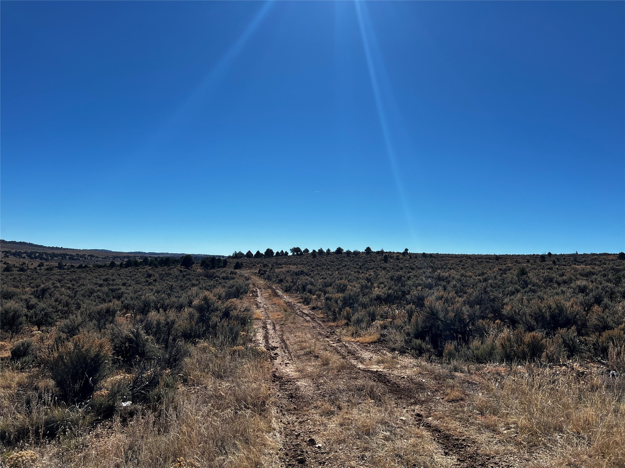 TBD Pajarito Road, Tierra Amarilla, New Mexico image 3