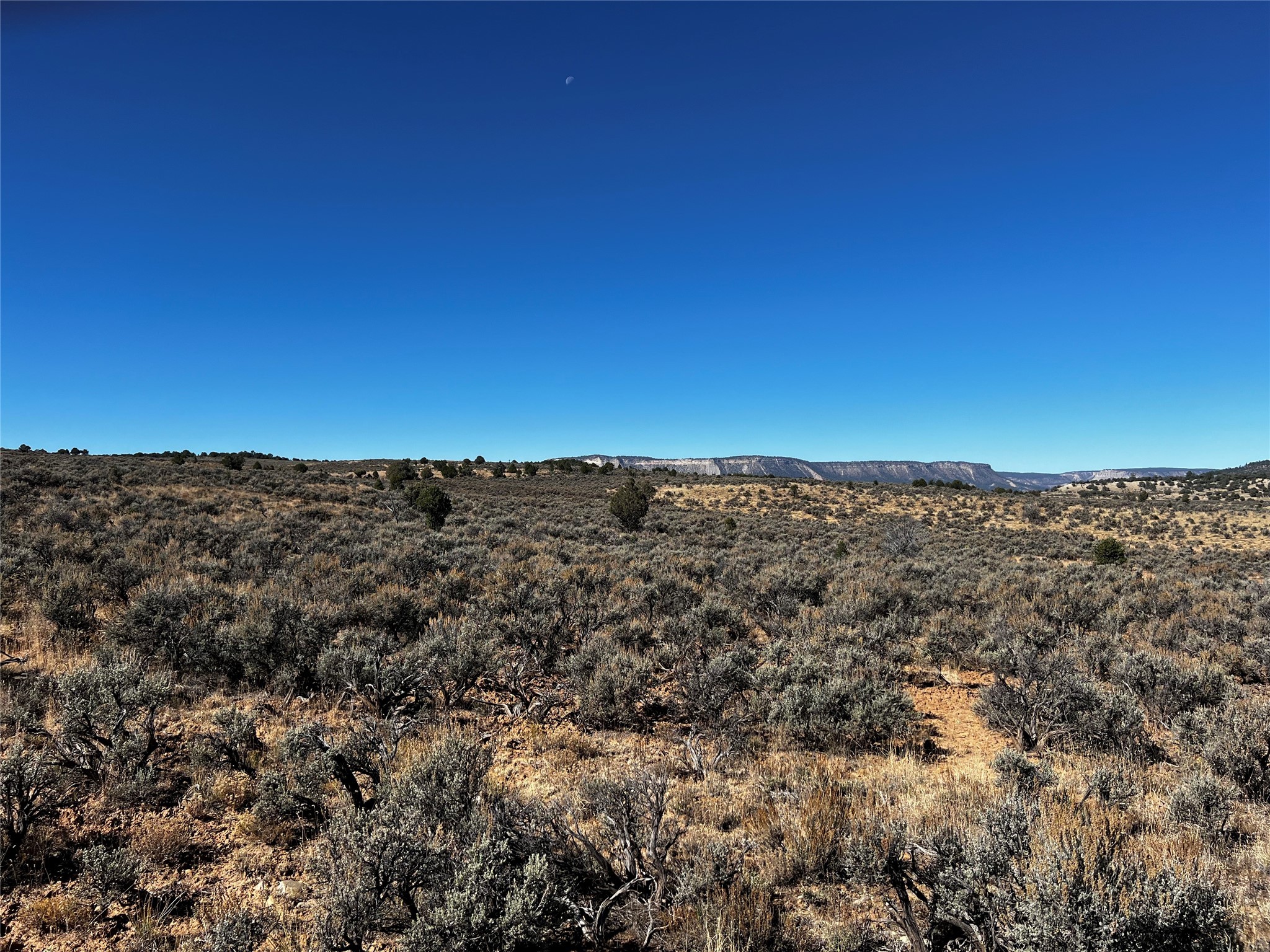 TBD Pajarito Road, Tierra Amarilla, New Mexico image 4