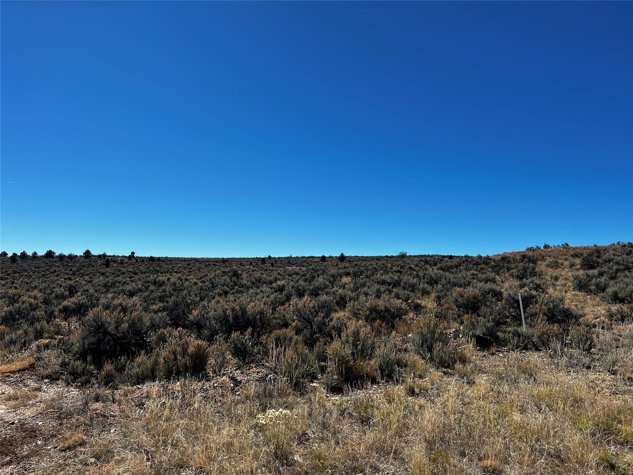 TBD Pajarito Road, Tierra Amarilla, New Mexico image 5