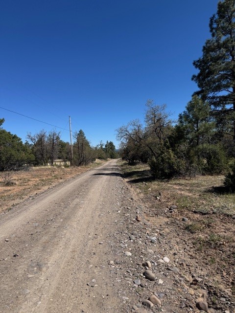 TBD Doe Run, Los Ojos, New Mexico image 8