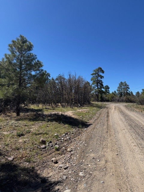 TBD Doe Run, Los Ojos, New Mexico image 7