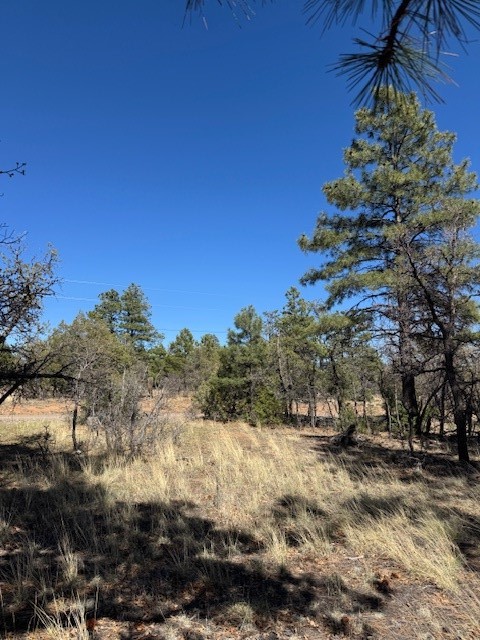 TBD Doe Run, Los Ojos, New Mexico image 3