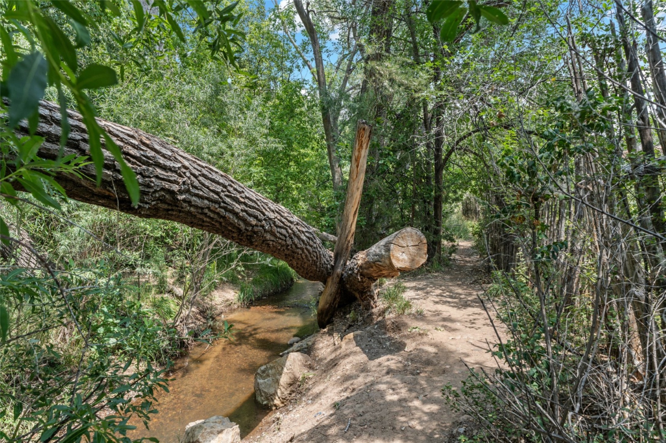 1329 Canyon Road And 0 Canyon Road Rd, Santa Fe, New Mexico image 24