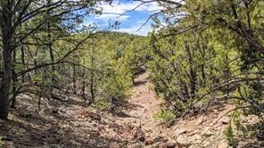 1820 Kachina Heights Dr #LOT 8, Santa Fe, New Mexico image 5