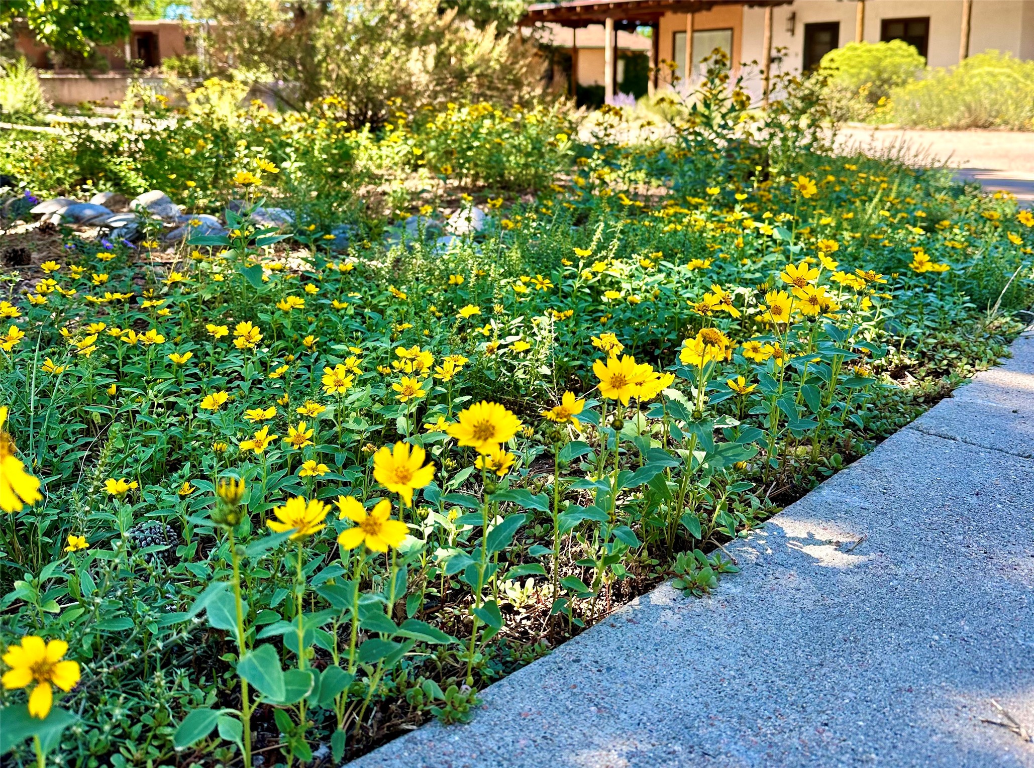 109 Camino Santiago #LOT 5, Santa Fe, New Mexico image 28