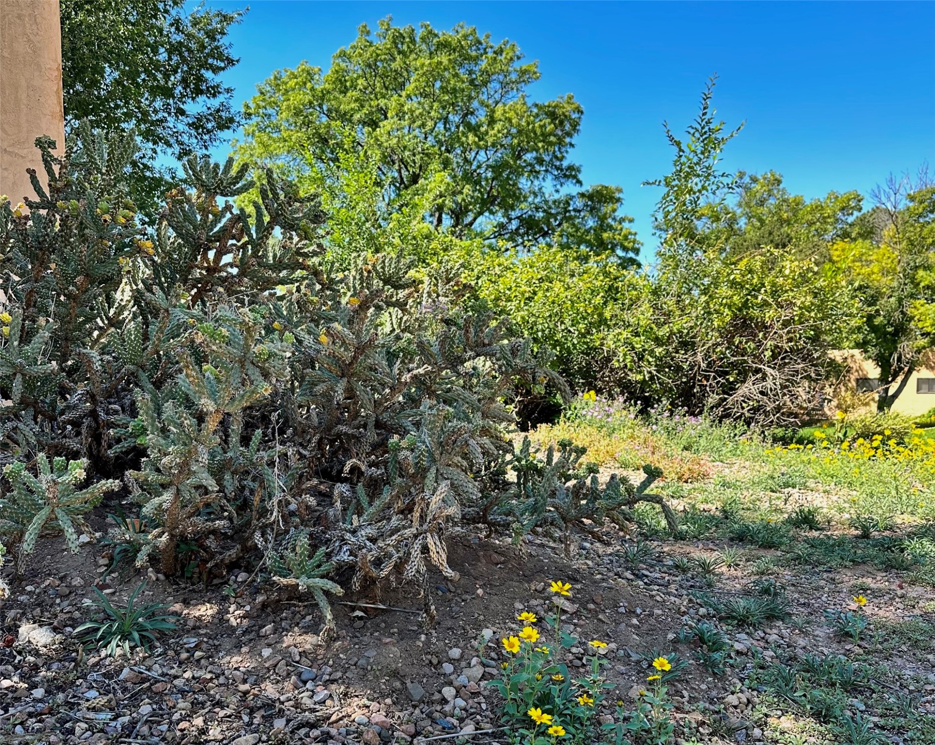 109 Camino Santiago #LOT 5, Santa Fe, New Mexico image 9