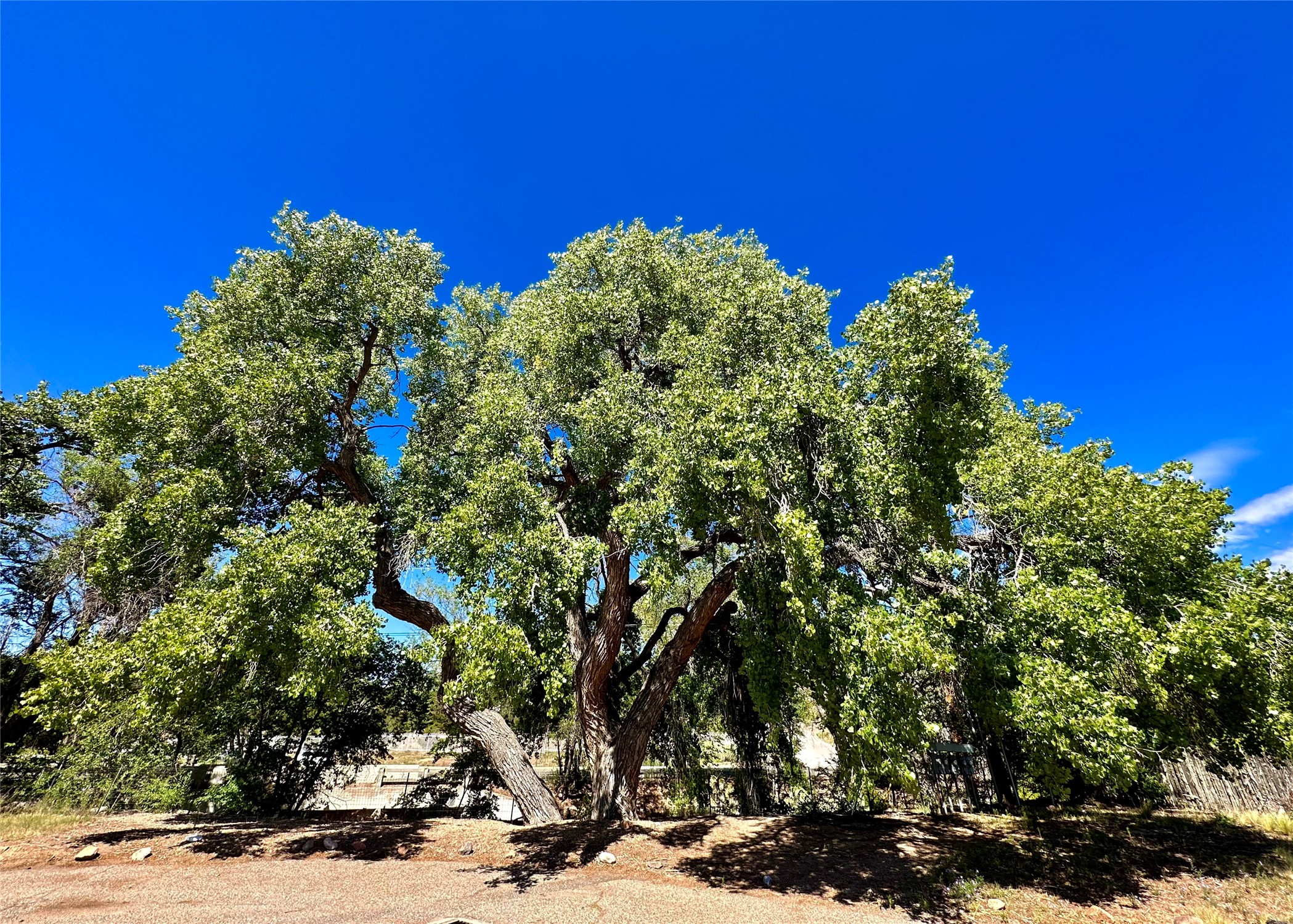 109 Camino Santiago #LOT 5, Santa Fe, New Mexico image 21