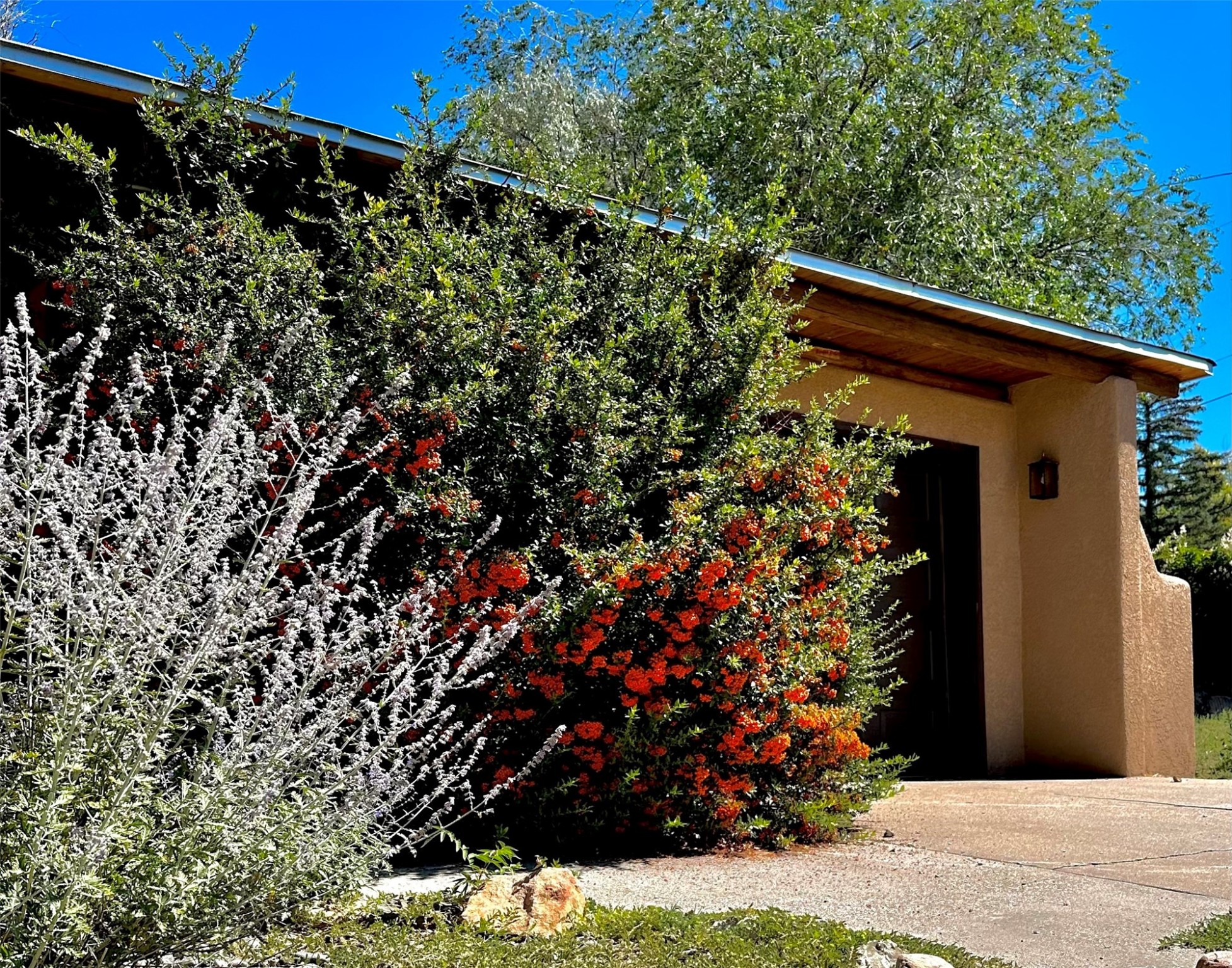 109 Camino Santiago #LOT 5, Santa Fe, New Mexico image 7