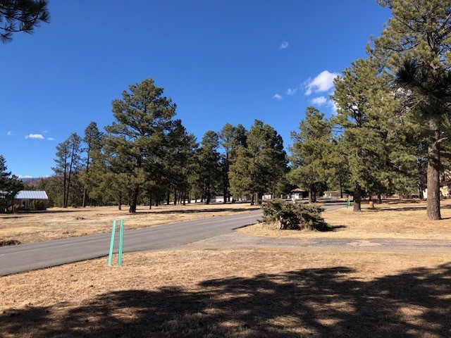 25 Pendaries Village Lane, Rociada, New Mexico image 31