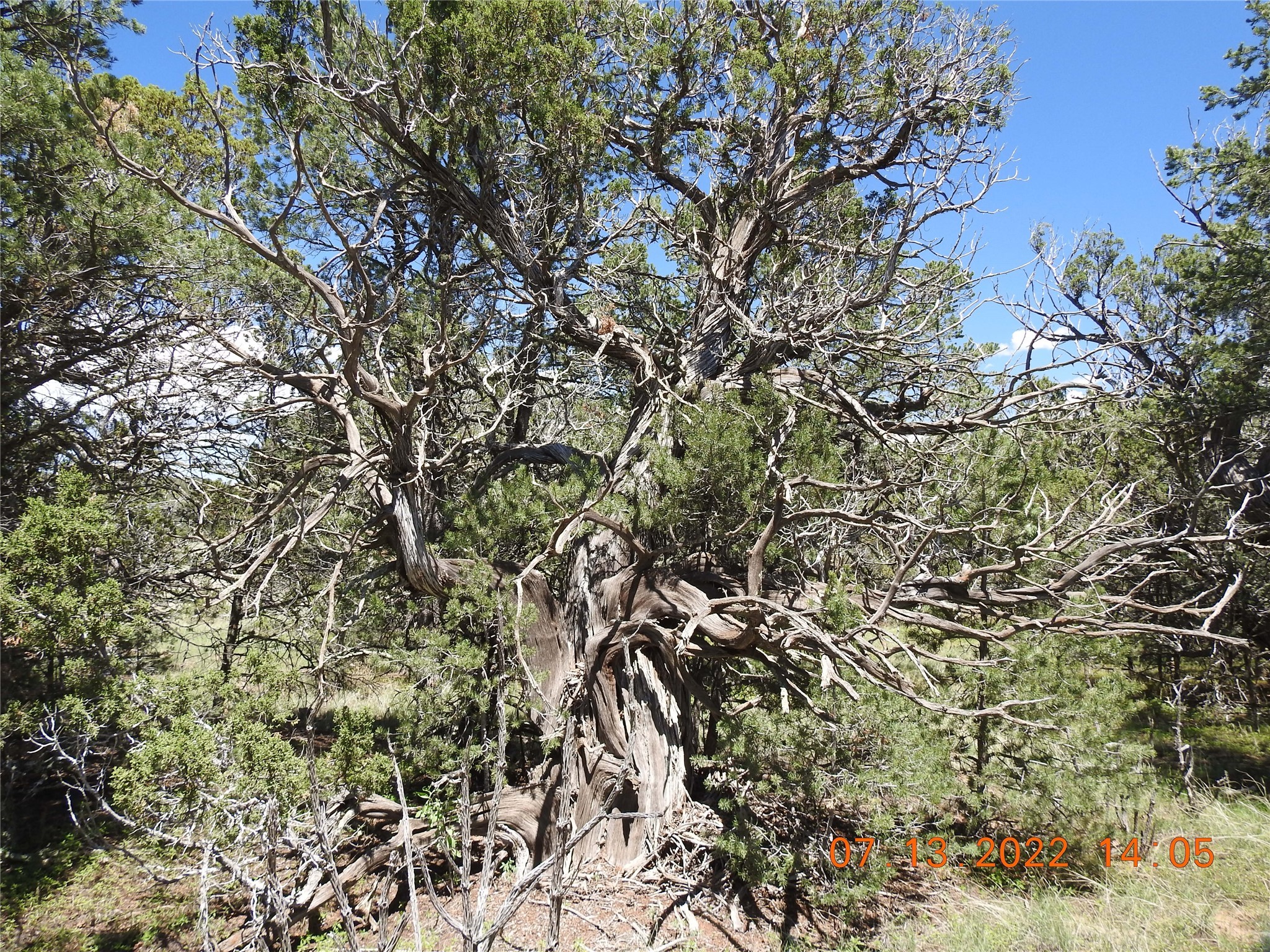 9 Tierra Del Dios, Rowe, New Mexico image 17