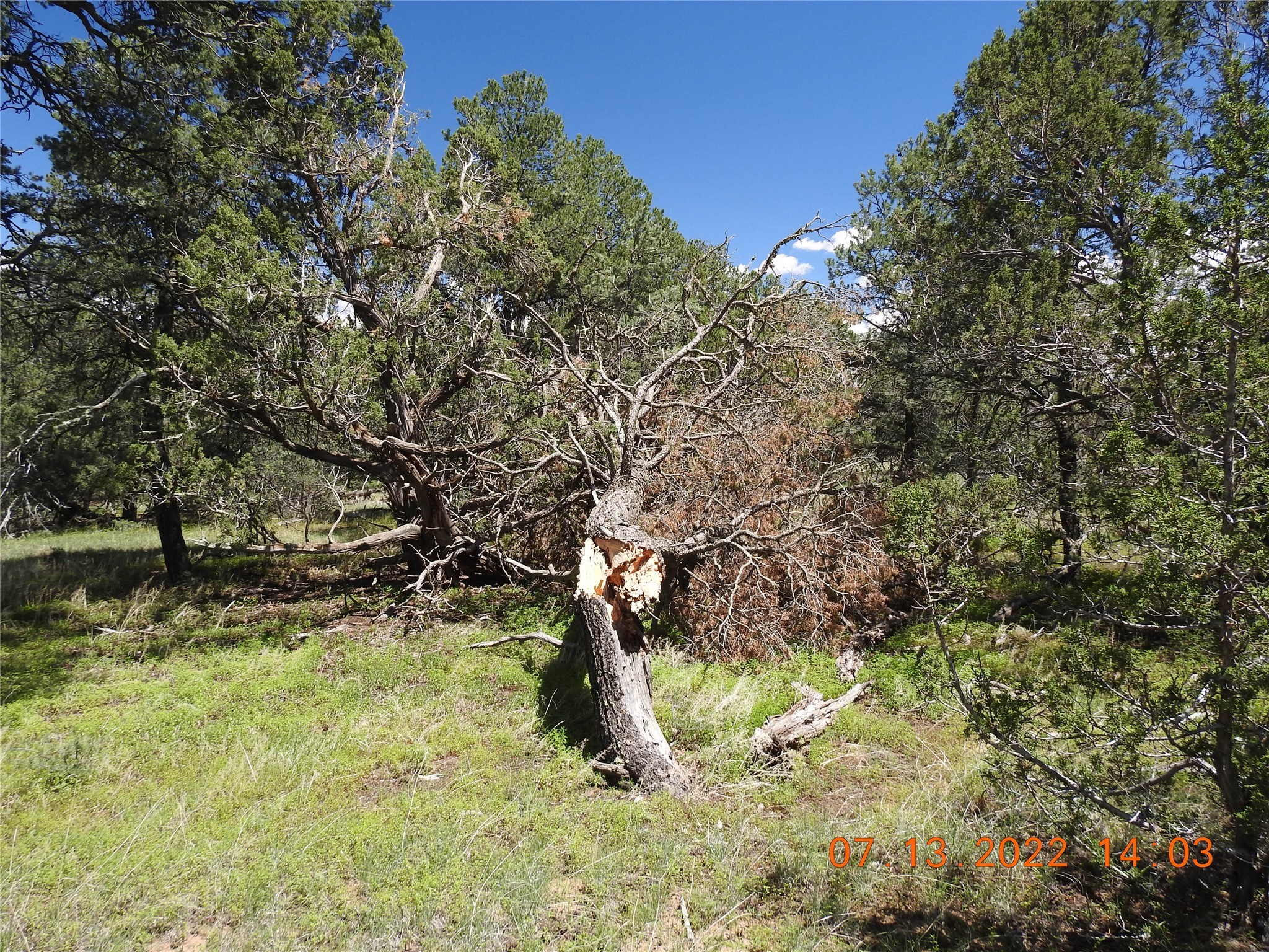 9 Tierra Del Dios, Rowe, New Mexico image 15