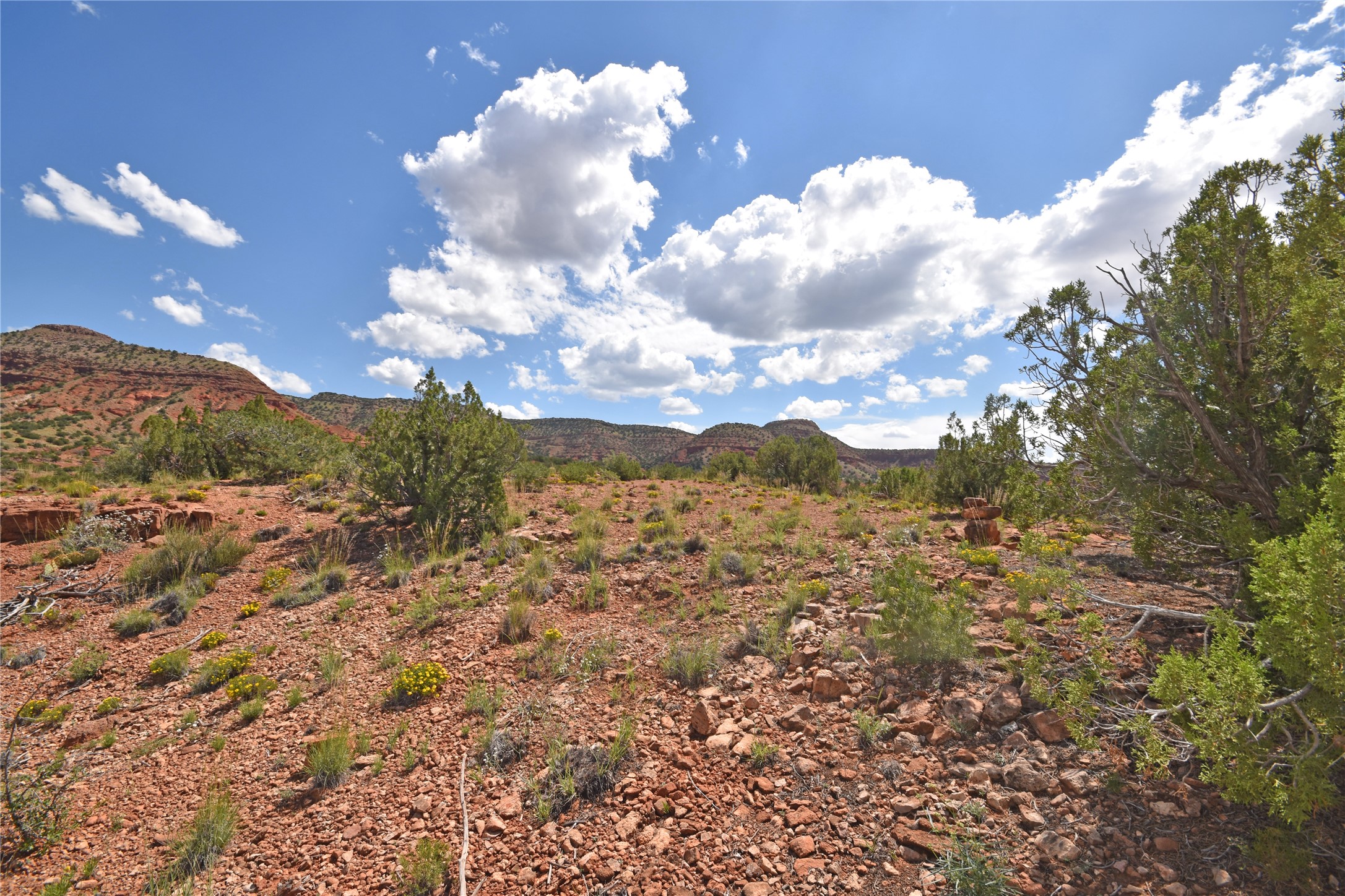 Lot 15 Camino Amarillo, Jemez Pueblo, New Mexico image 3