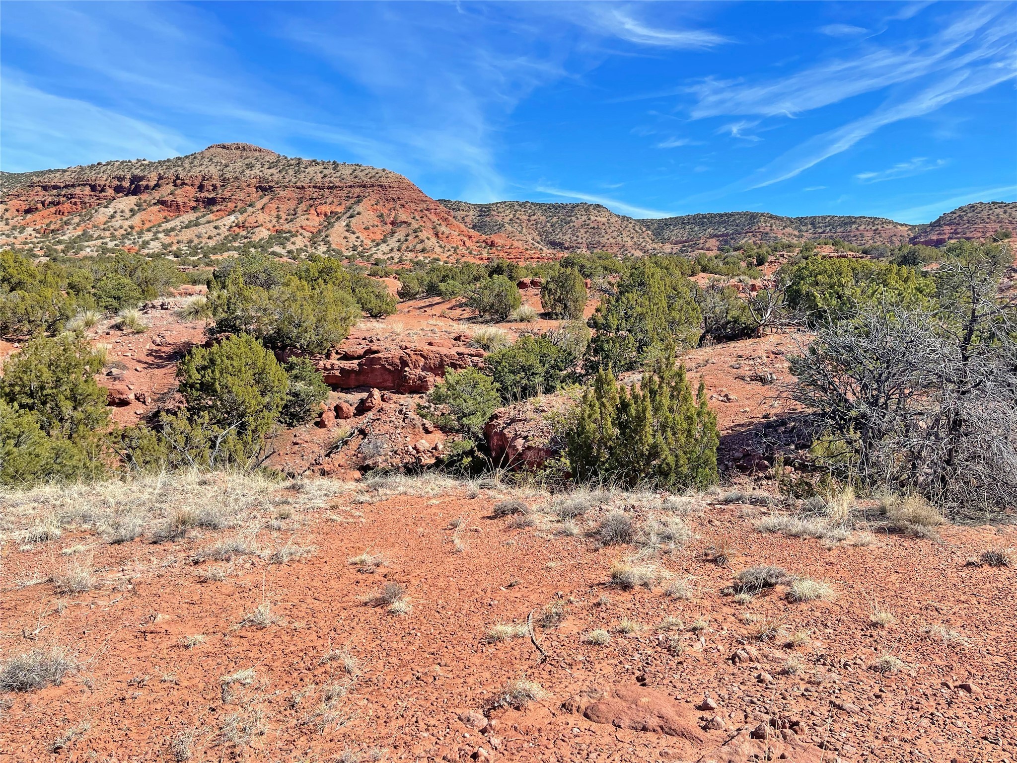 Lot 15 Camino Amarillo, Jemez Pueblo, New Mexico image 6