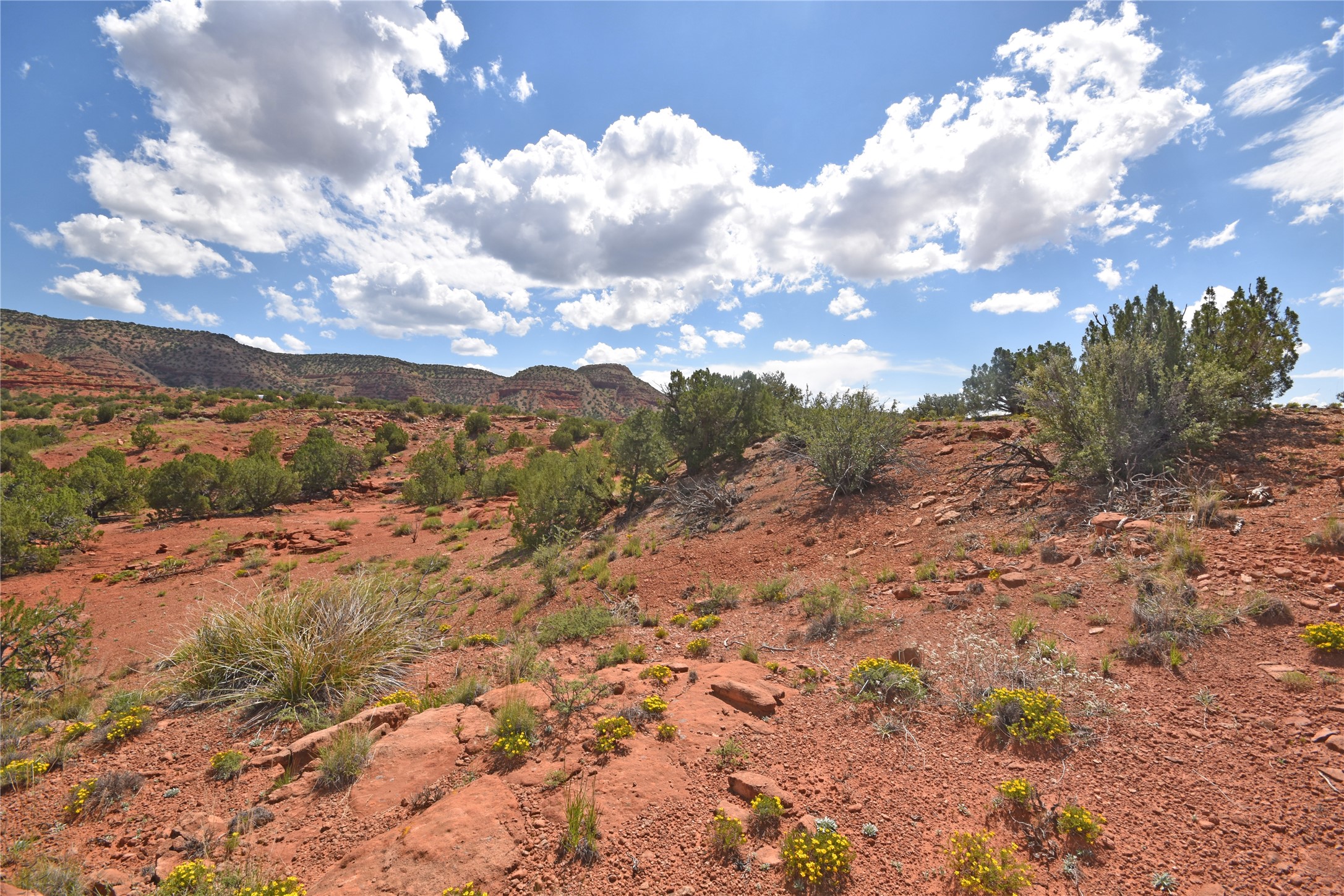 Lot 15 Camino Amarillo, Jemez Pueblo, New Mexico image 10