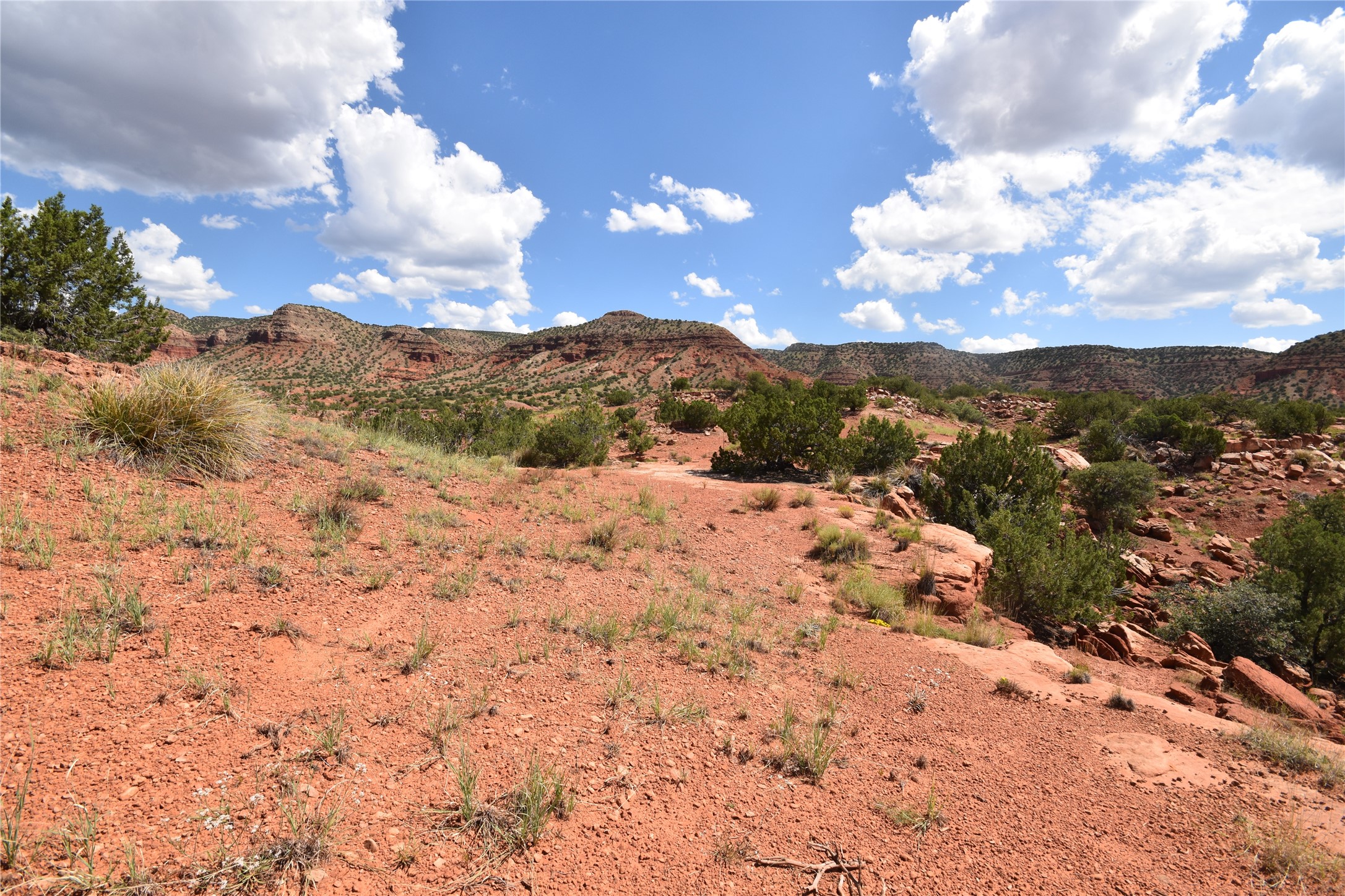 Lot 15 Camino Amarillo, Jemez Pueblo, New Mexico image 12